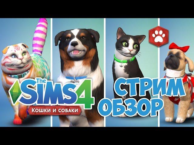 The Sims 4  Кошки и Собаки Обзор дополнения