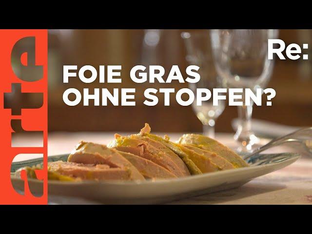 Stopfleber als Delikatesse? | ARTE Re: