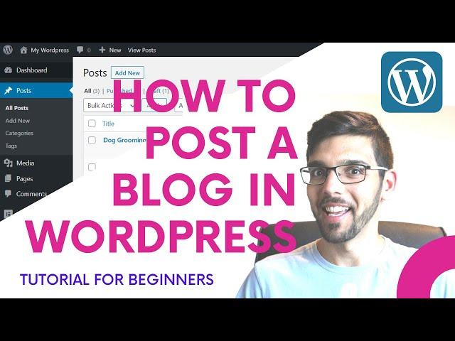 How to write a blog post in WordPress 2023