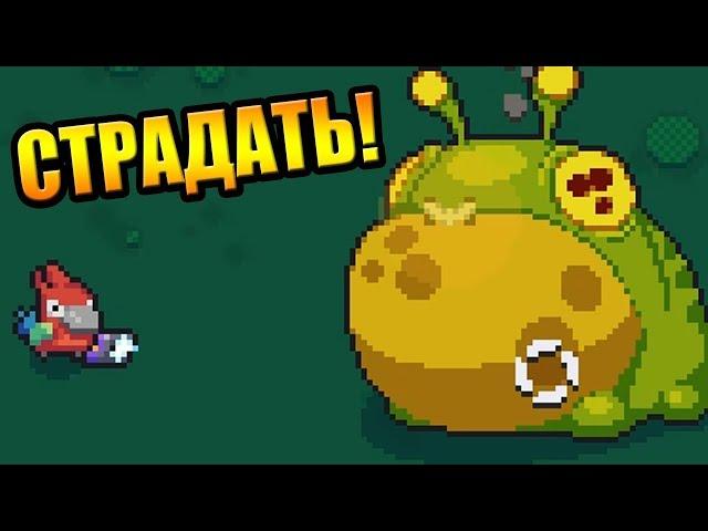 Доза страданий! | Blazing Beaks