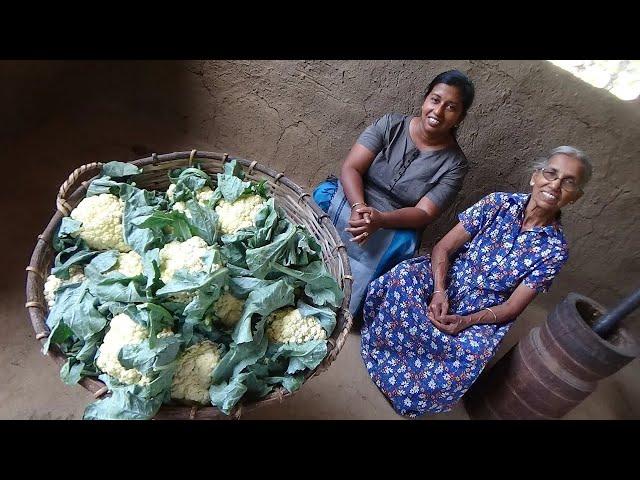 Cauliflower Stir Fry Recipe by Grandma and Daughter  Village Life