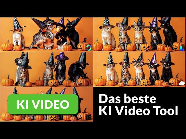 Vergleich KI Video 2024: Kling AI, Runway, Pika, Minimax vs. Luma AI