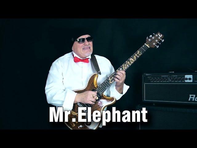 Mr.Elephant