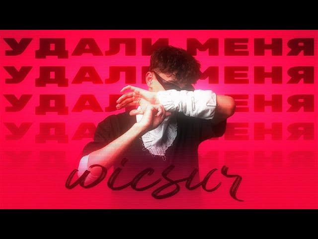 Wicsur/Бискас - Удали Меня (Official audio)