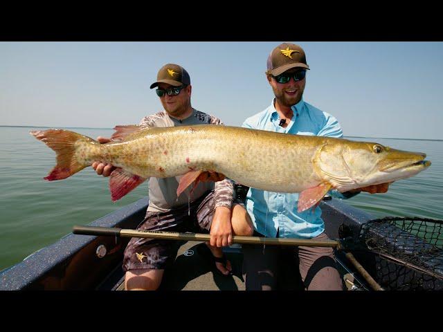 Top Water Muskies on Leech Lake - In Depth Outdoors TV S16 E18