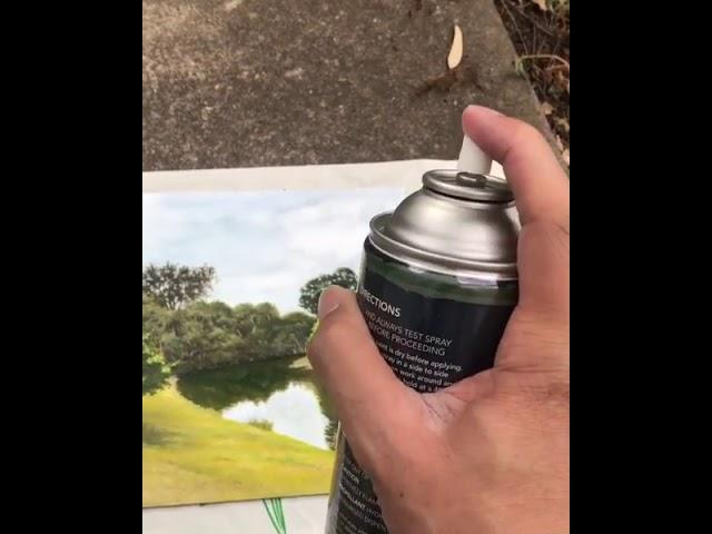 Micador For Artists Picture Varnish Satin Spray (@donkamaot)