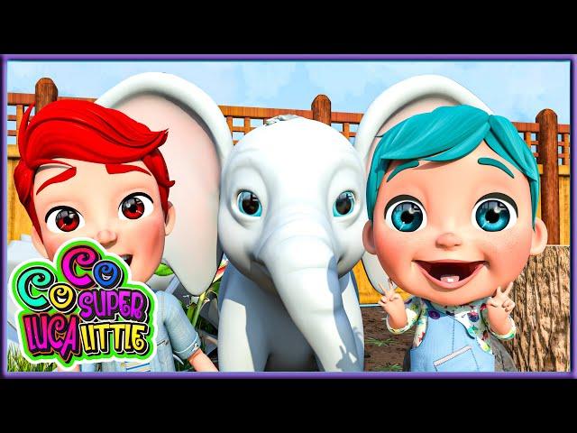 Welcome to the Zoo Song | More Kids Songs | Coco Super Luca little #childrensongs