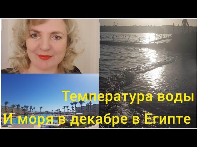 На сколько дней мы приехали? Какая температура воды и воздуха в декабре в Шарм-Эль-Шейхе?