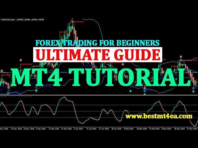 MetaTrader4 - The Complete Guide to MT4 - Forex Trading for Beginners | What is forex trading?