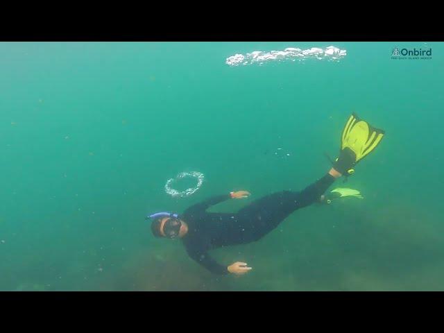 FUN Free-diving in Phu Quoc Island, Vietnam | Soft-adventure Snorkeling