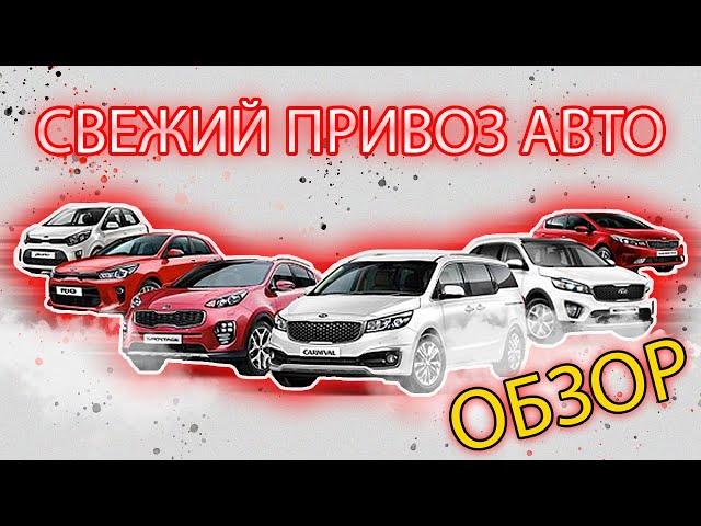 ПРИВОЗ АВТО "БЕЗ ПРОБЕГА" I PALISADE I SORENTO I CR-Z I CH-R I SANTA FE