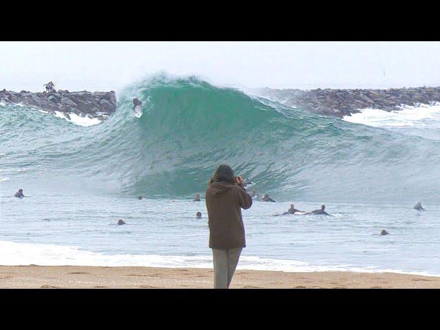 The Wedge Newport Beach - Biggest Wipeouts 2024!!!