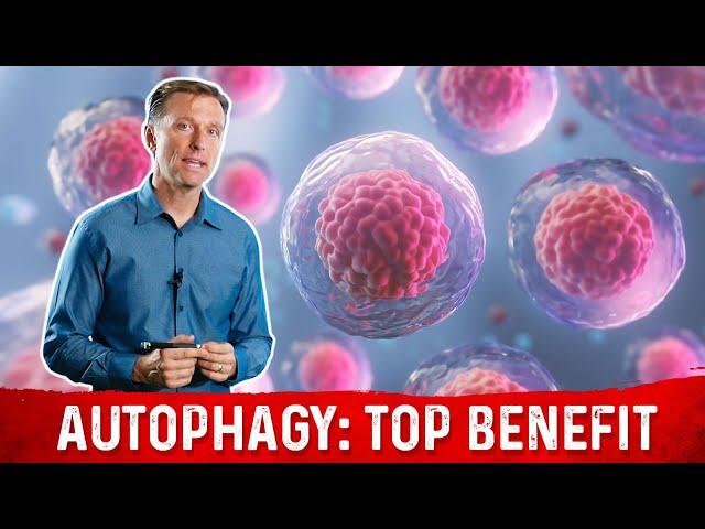 The Most Important Benefit of Autophagy: Will Surprise You