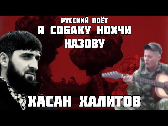 Хасан Халитов || Русский Поёт Я Собаку НОХЧО Назову