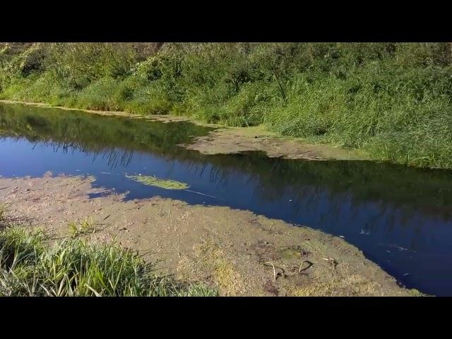 #vlog Sept 7, 2024. Hiking down small river