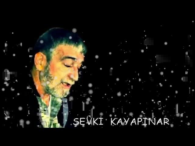 ŞEVKİ KAYAPINAR-DÜŞME ***ŞİİR SANSÜRSÜZ +18***