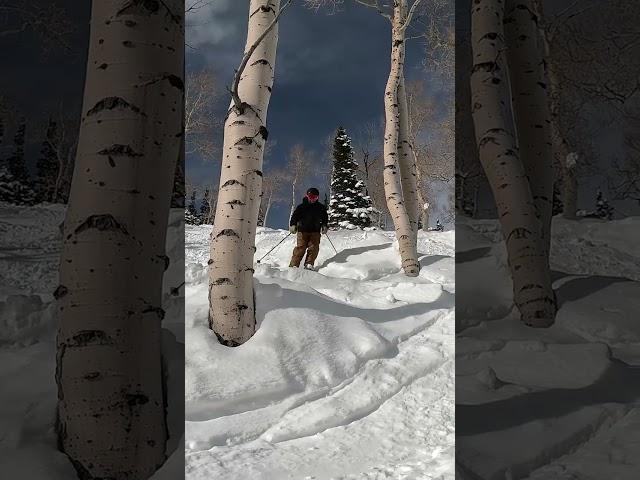 Throwing Snow #shortvideo #shortsvideo #travel #utah #gopro11 #ski #snow #park #city #fyp #shorts