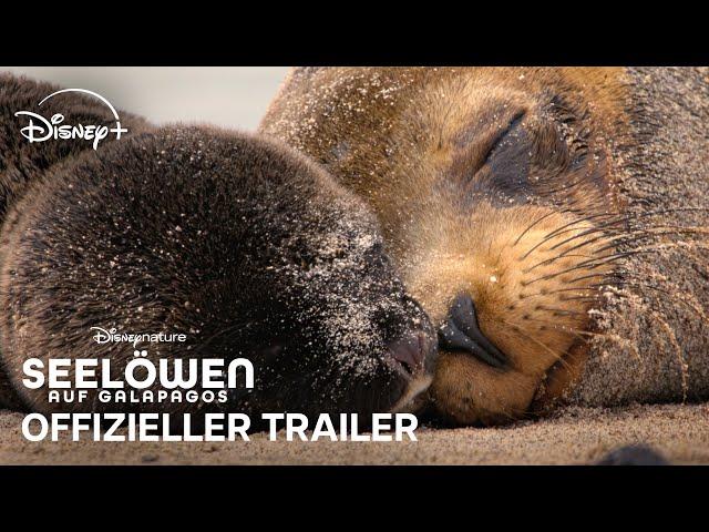 Disney+ | Seelöwen auf Galapagos I Offizieller Trailer I Deutsch