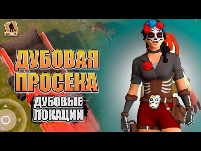 ДУБОВЫЕ ЛОКАЦИИ ЛАСТ ДЕЙ!!! ДУБОВАЯ ПРОСИКА - Last Day on Earth: Survival