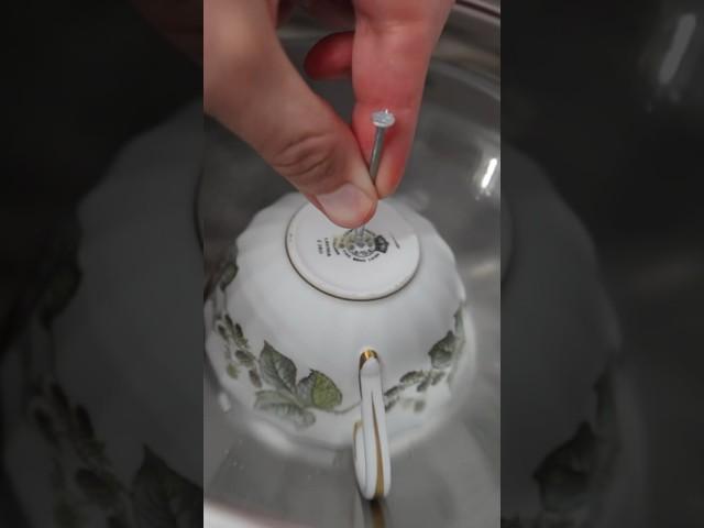 GENIUS teacup trick (you just need nails!)