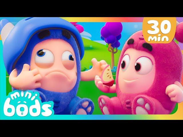  Wait until it's ripe! Healthy Fruits   | @Minibods | Funny Comedy Cartoon Episodes for Kids