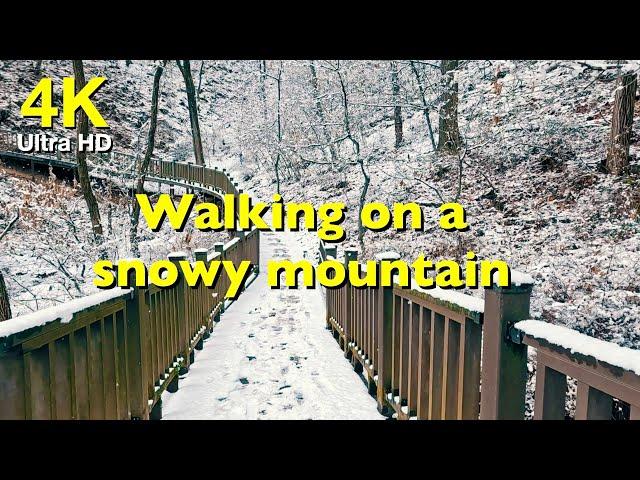 [4k] Walking on a snowy mountain | 눈내리는 산속 겨울 힐링산책