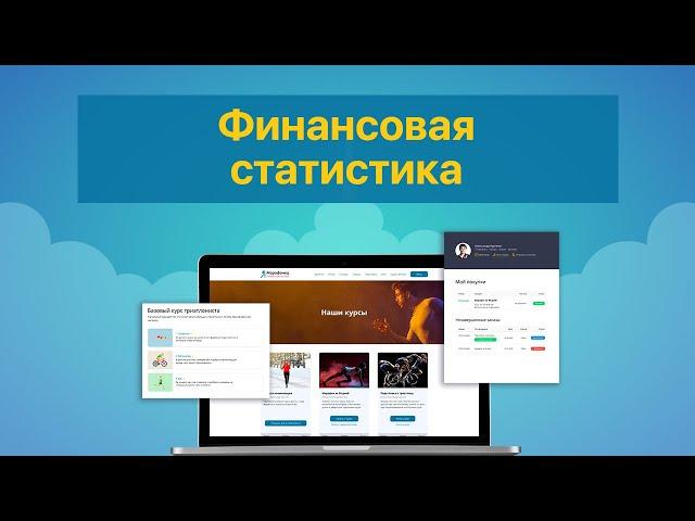 Финансовая статистика в School-Master