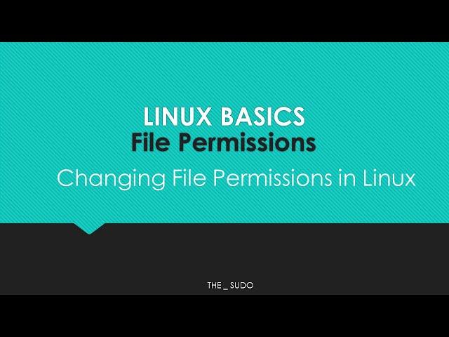 Linux Basics: Linux File Permissions // How To Change Linux File Permissions