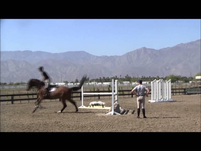 Lesson with McLain Ward