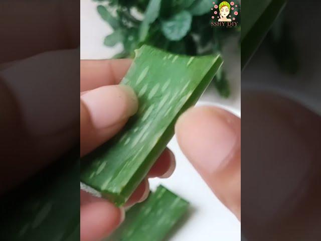 How to use Aloe Vera on face |get glowing skin #shorts #aloevera