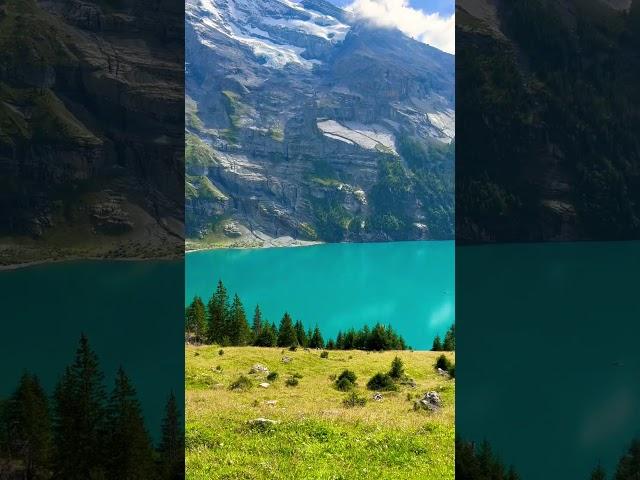 Spring in Switzerland  #schweiz #nature #travel #shorts