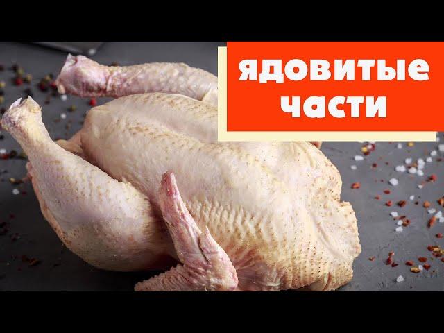 Самая Ядовитая Часть Курицы, Которую Есть Нельзя ни в Коем Случае!