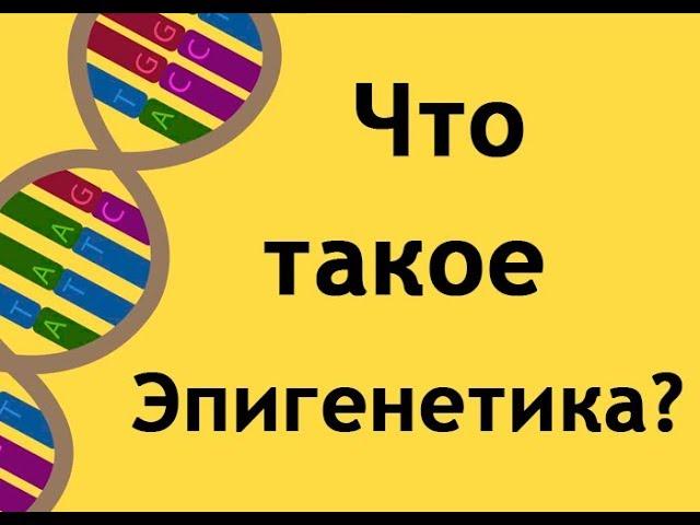 Что такое эпигенетика?