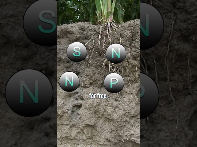 Organic Matter = FREE Fertilizer #agphd #agriculture #tvshow #fertilizer #organic