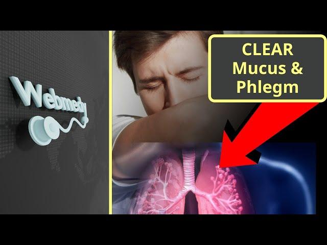 Phlegm and Mucus: Understanding the Causes and Tips to Clear Phlegm and Mucus from Lungs