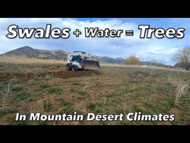 Swale + Water = Trees / How swales are built in high elevation mountain desert climate.