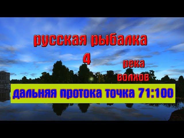 Русская рыбалка 4(рр4) - река Волхов. Локация Дальняя протока, точка 71 100