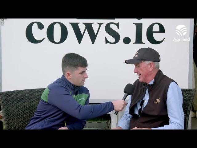 Talking cow and heifer trade #Ploughing2024