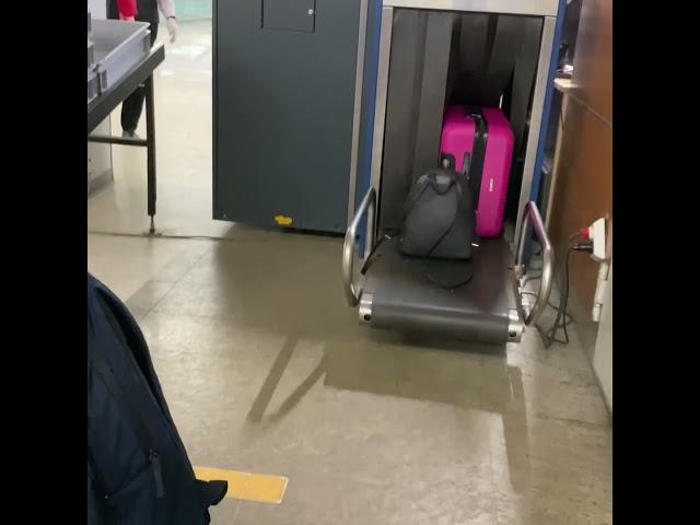 Приехали в Крым 