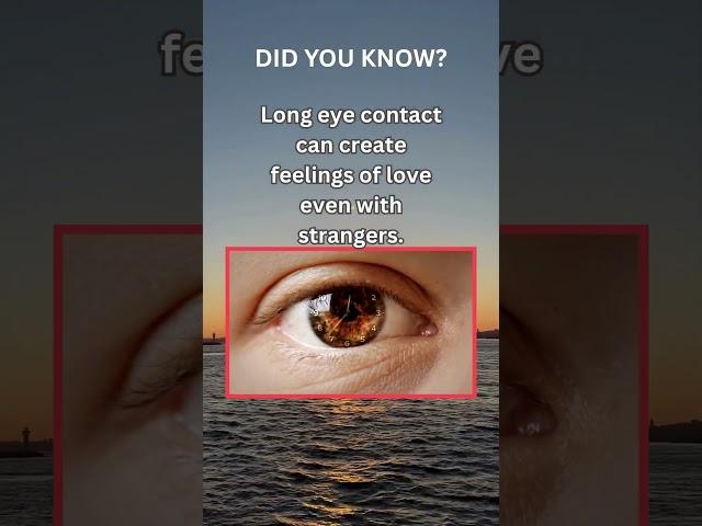 Did You Know Love Hurts
