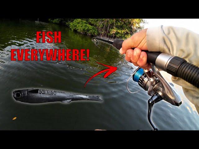 This Lure Catches Everything! NLBN Mini Mullet