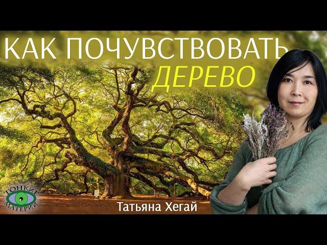 Как почувствовать дерево. Городское травничество. Татьяна Хегай