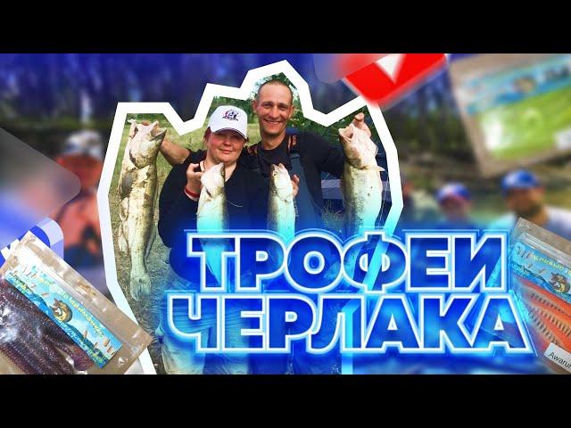 ТРОФЕЙНЫЕ СУДАКИ ЧЕРЛАКА 2-3 КГ,ЗАЛЕТЕЛА ЩУКА НА 5КГ!!!КЛЕВЫЕ ПРИМАНКИ