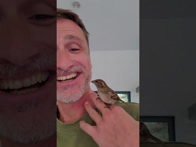 Playing the Piano with a cheeky Sparrow