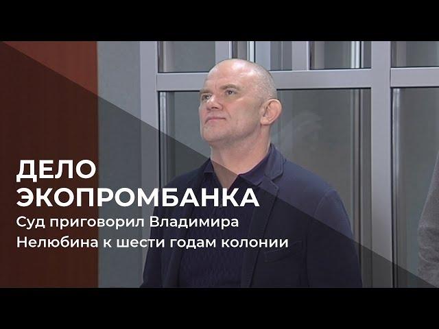 Суд приговорил Владимира Нелюбина к шести годам колонии