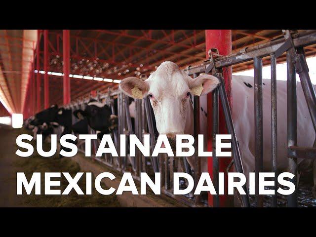 Generations of Sustainability on Mexican Dairies