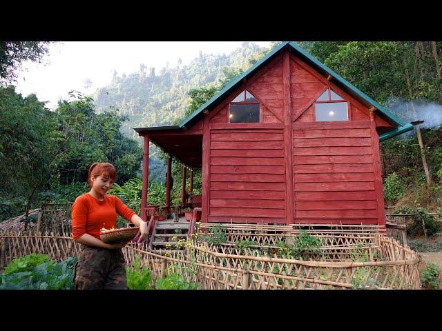 Harvesting Beans and Tapioca - Firewood, Making Cakes, Growing Taro and Ginger | Ana Bushcraft Ep.65