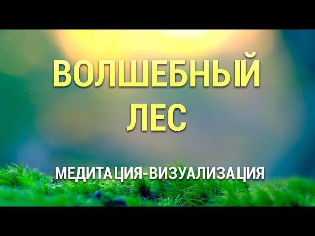 Медитация для Сна  Визуализация Волшебный Лес  Осознанный Сон  Медитация с Музыкой