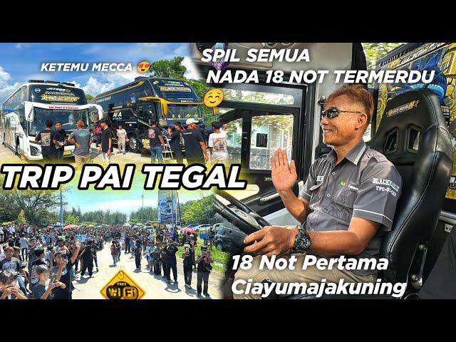 BERGOYANG SEPANJANG JALAN‼️ TRIP PAI TEGAL SERU BUS AKA WISATA BLACK MARLIN  18 NOT BASURI