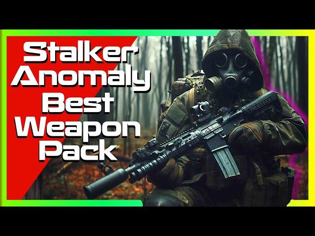 Stalker Anomaly This is The Best Weapon Mod